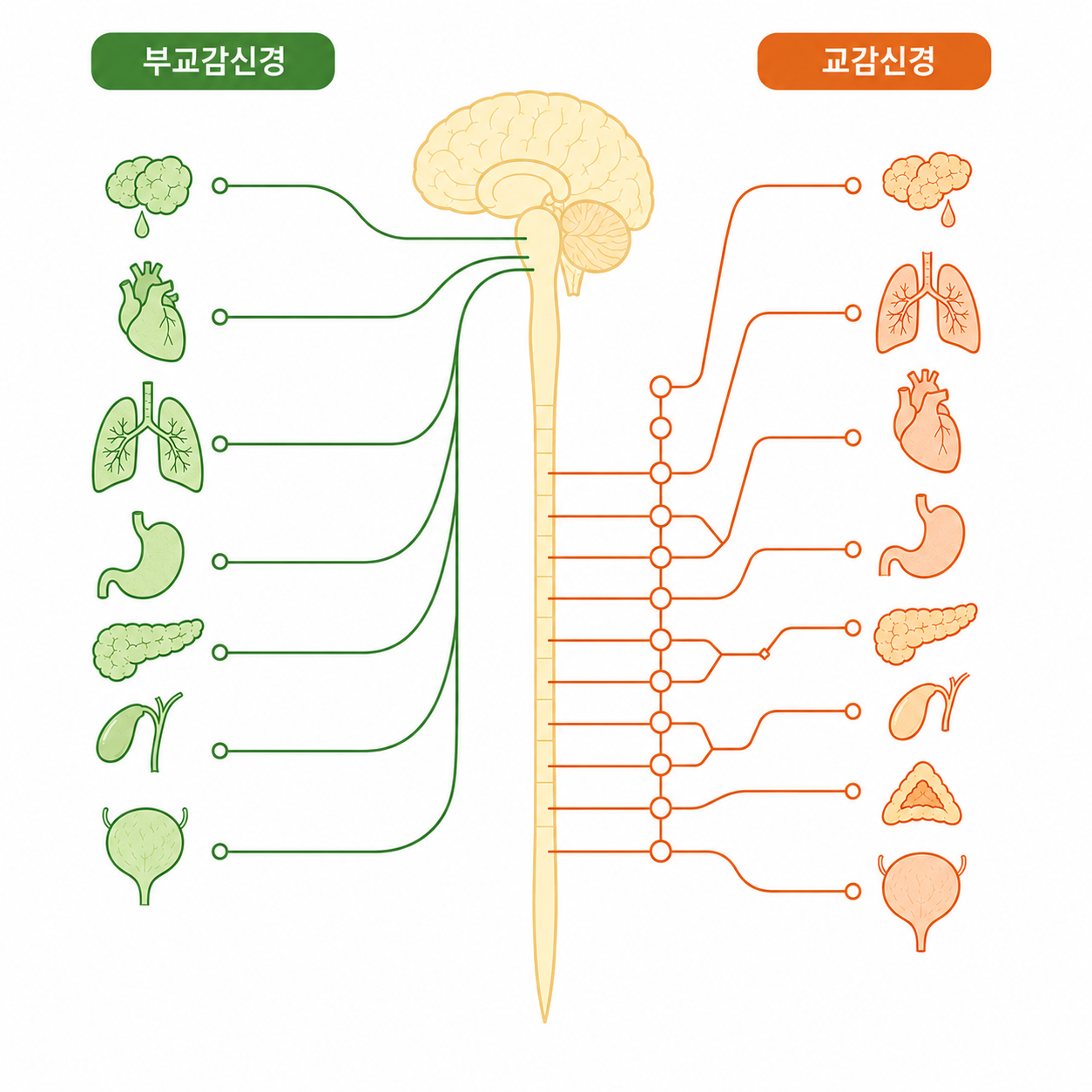 자율신경실조
